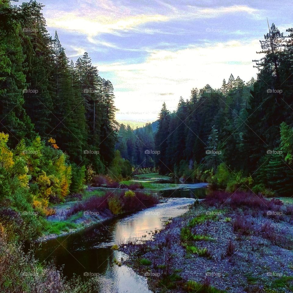 A stream in the fall