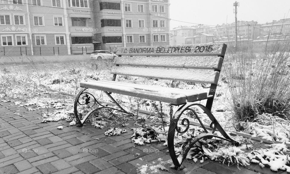 The Bench. The bench under the snow
