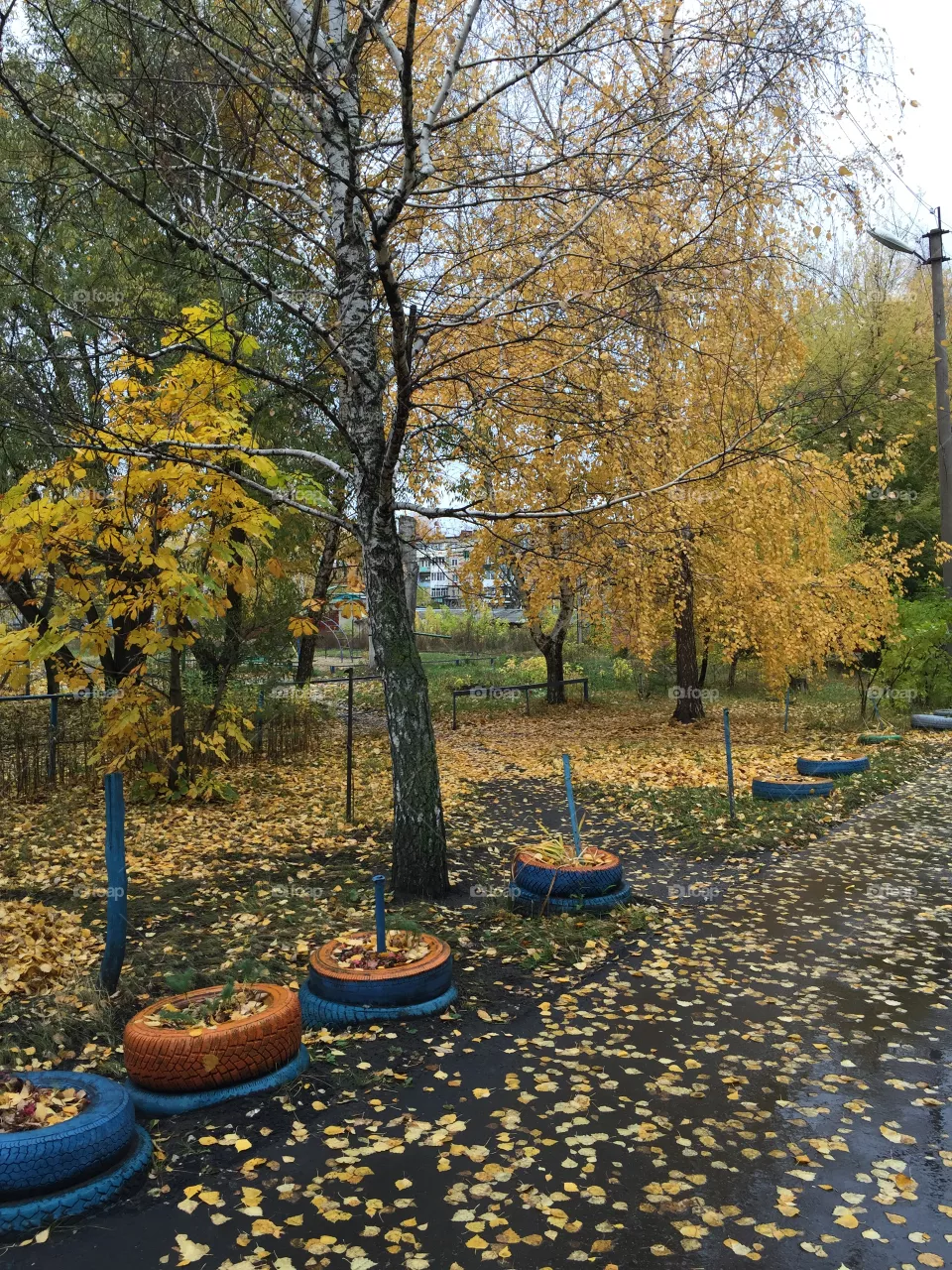 Autumn 