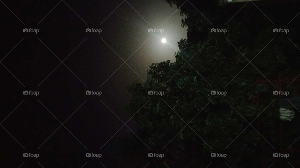 noche luna
