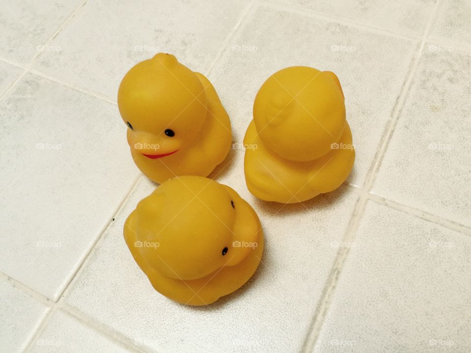 My ducks