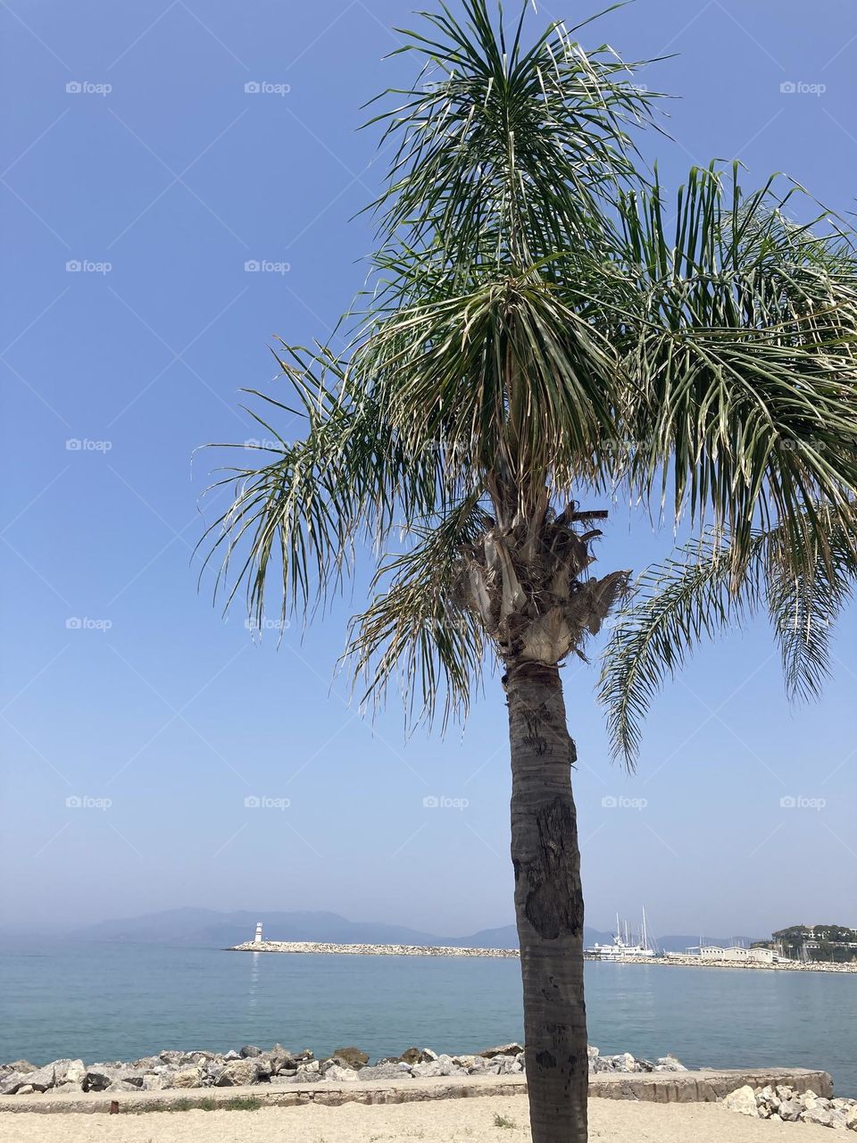 Sightseeing in Turkey. Blue sky and tall palm trees. Sunsets and sunny days. Summertime in Kusadasi. Vacation travel in Turkey . Summer view. Sunny day during vacation. Hidden gems and secret places.