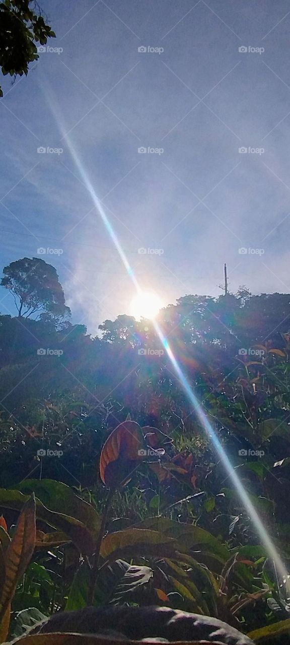 sunset in summer i love summer