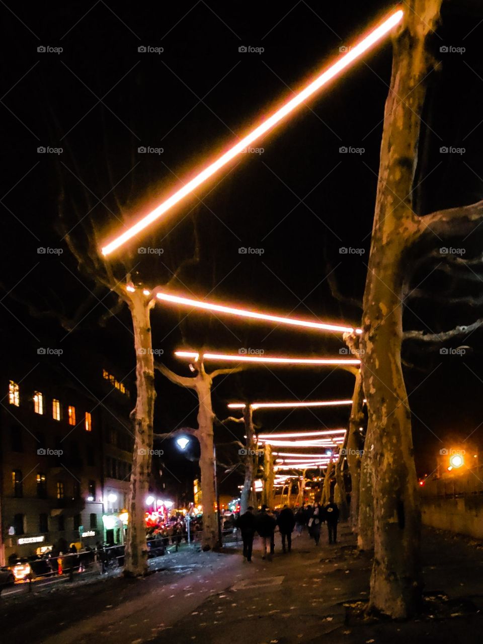 Festival of lights, Lyon, France