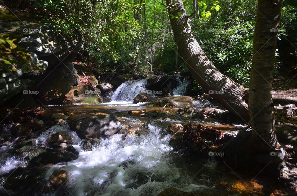 Glen Onoko stream