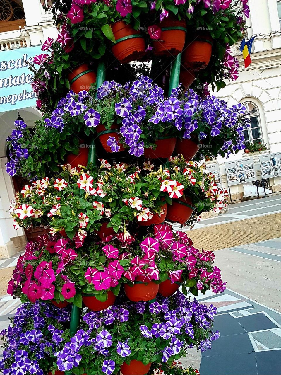 ornamental flowers in the city