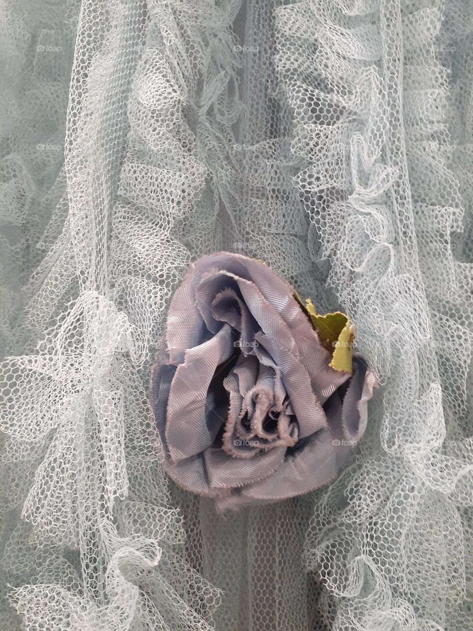 Cloth Rose and Tulle