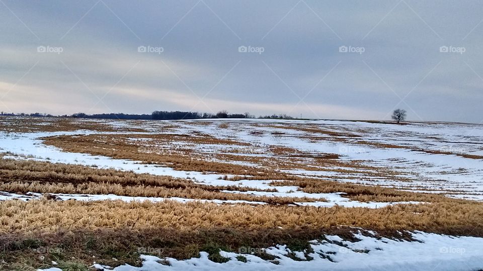 Snowy field