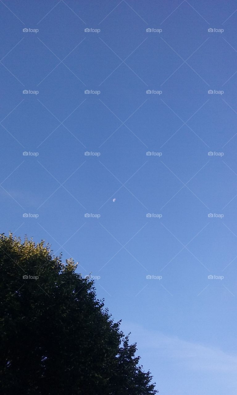 Moon in the day