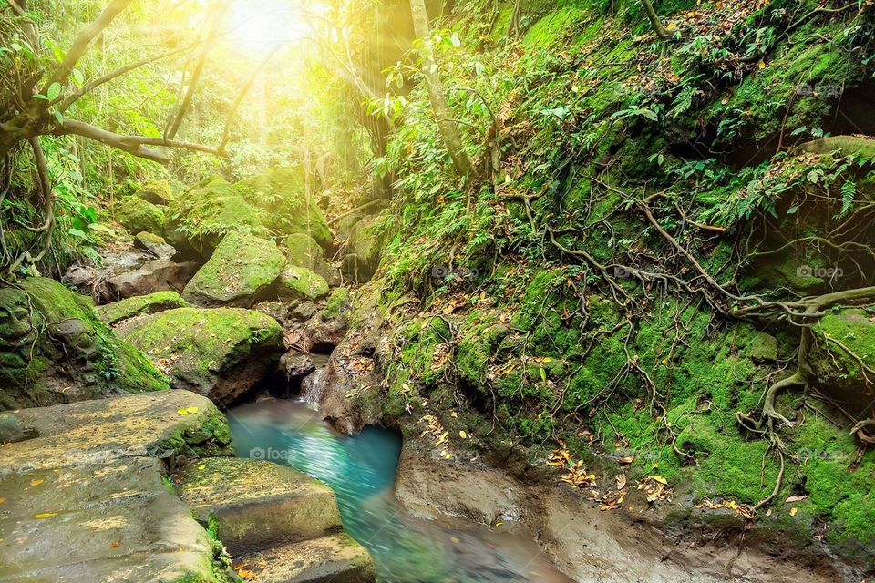 Mountain river in Sacred Monkey Forest in Ubud, Bali