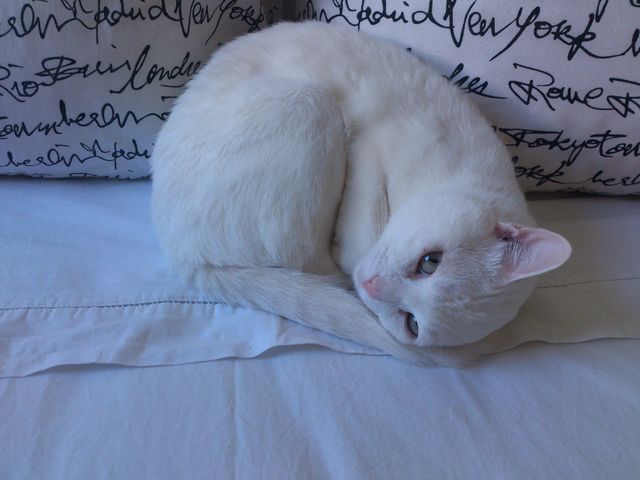 Relaxation time!😸