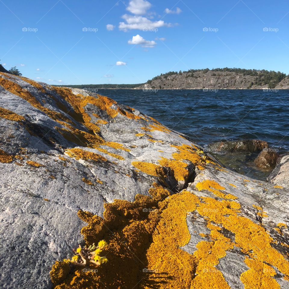 Ocean view in the sun