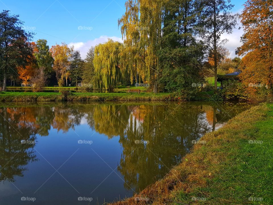 Fall Trees mirroring in Lake