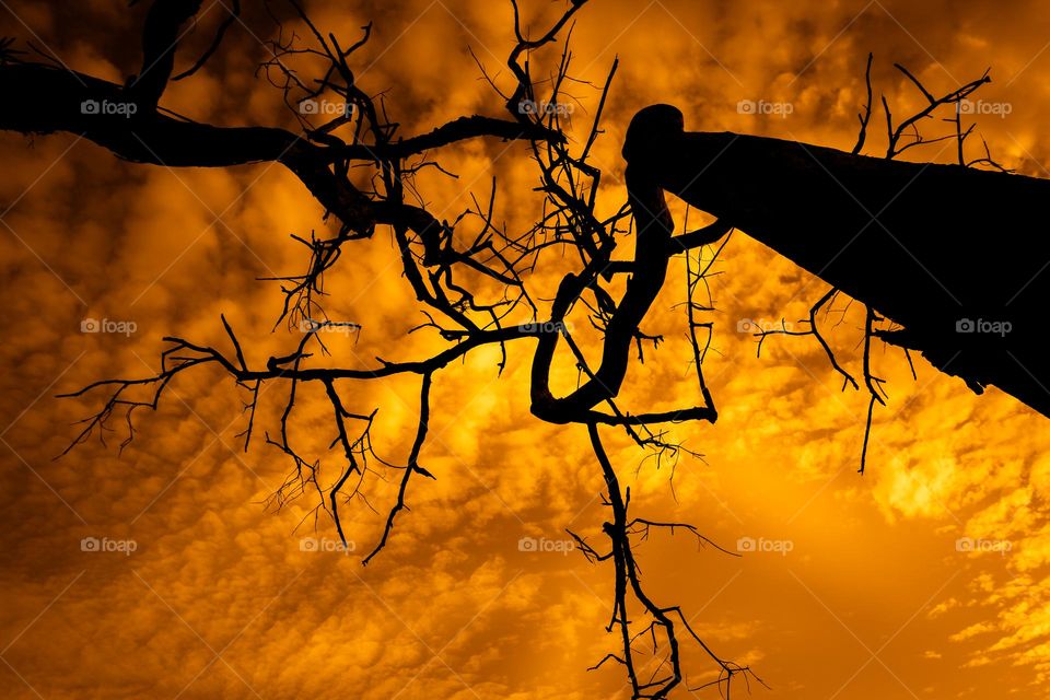 Orange sky at sunset