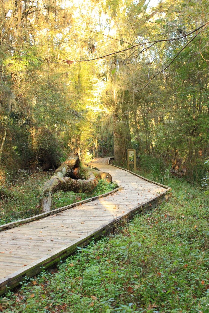 Walkway at De Leon springs