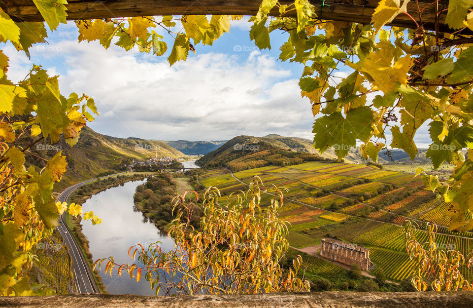 Moselle autumn vineyards Landscape 