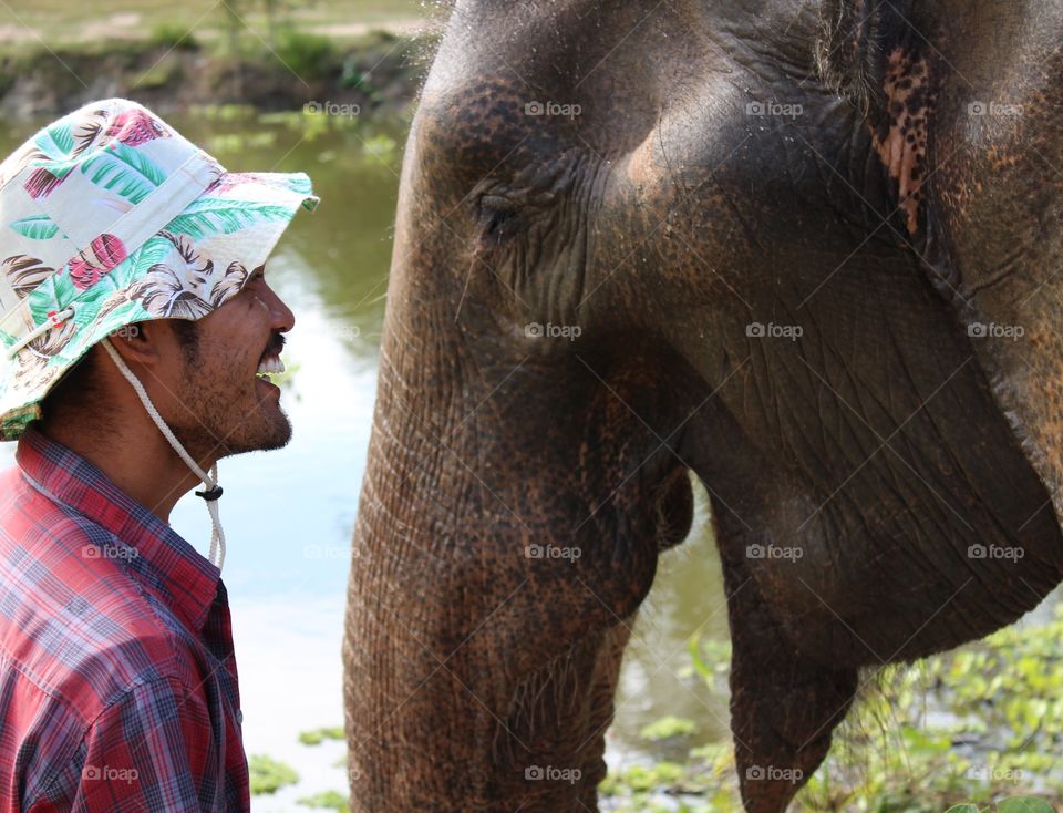 Rescued elephant Thailand 