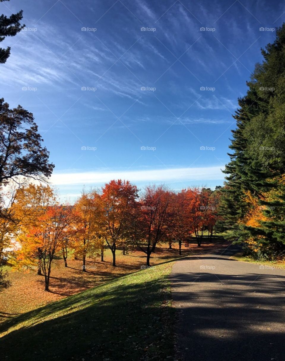 Fall in the Park
