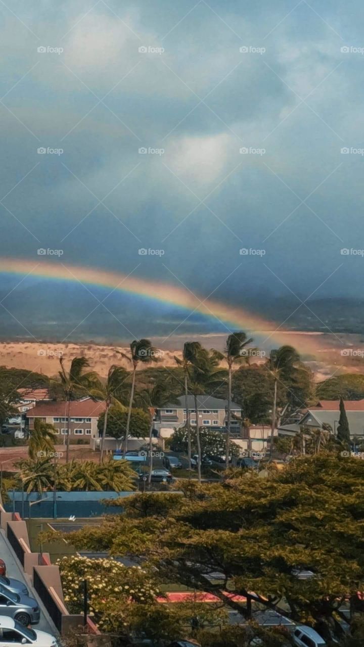 Rainbow In Maui Hawaii 