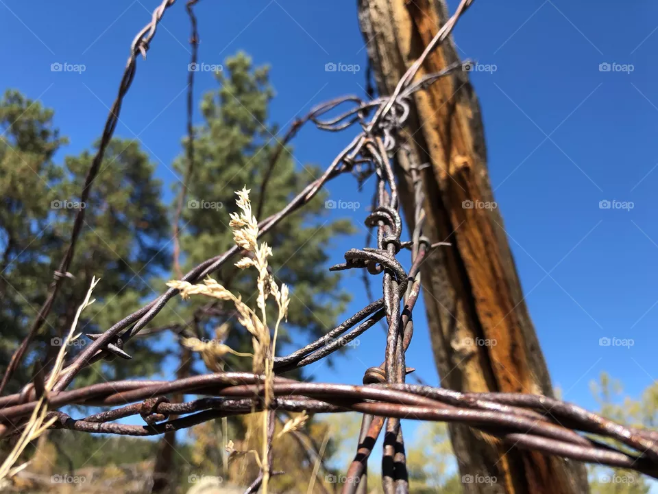 Old wire
