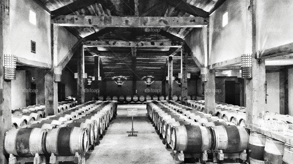 wine barrels. visit to a vineyard