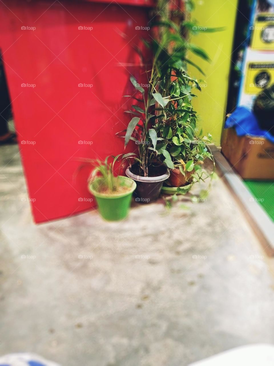 upload photo of the Nature