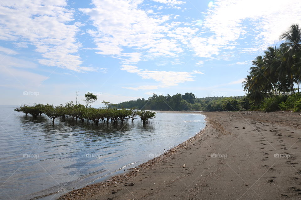 Coast of southeast Minahasa . . .