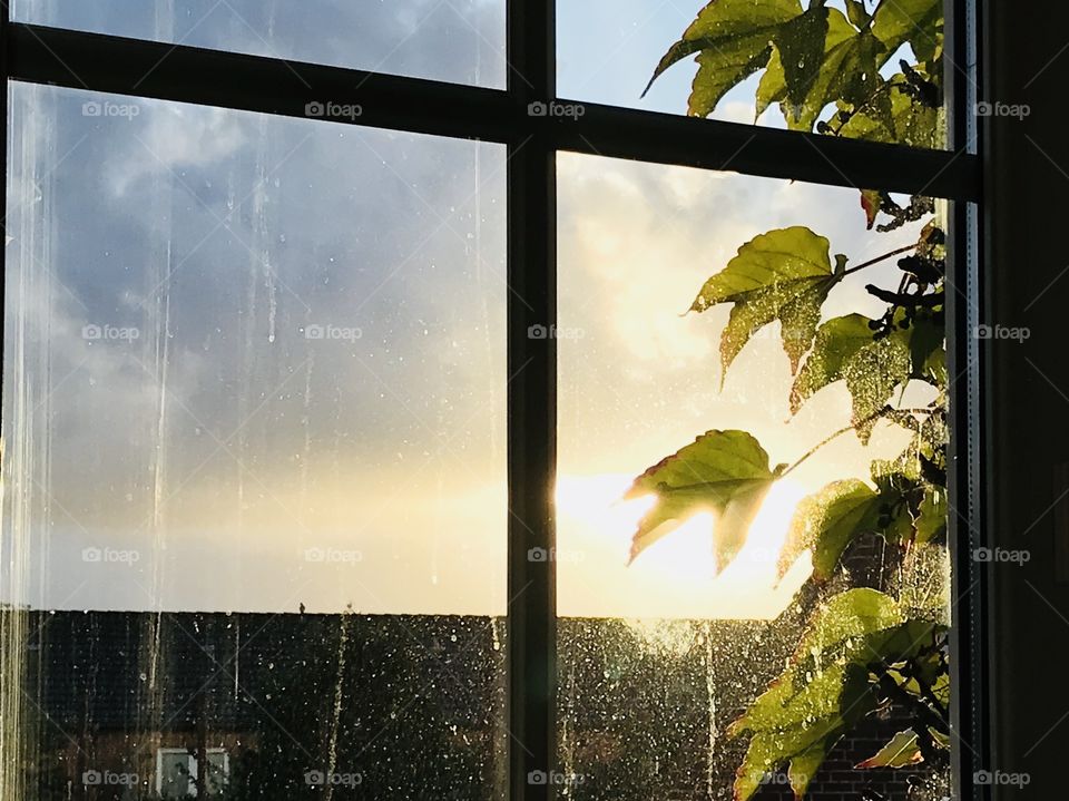 Start a new day 🤗