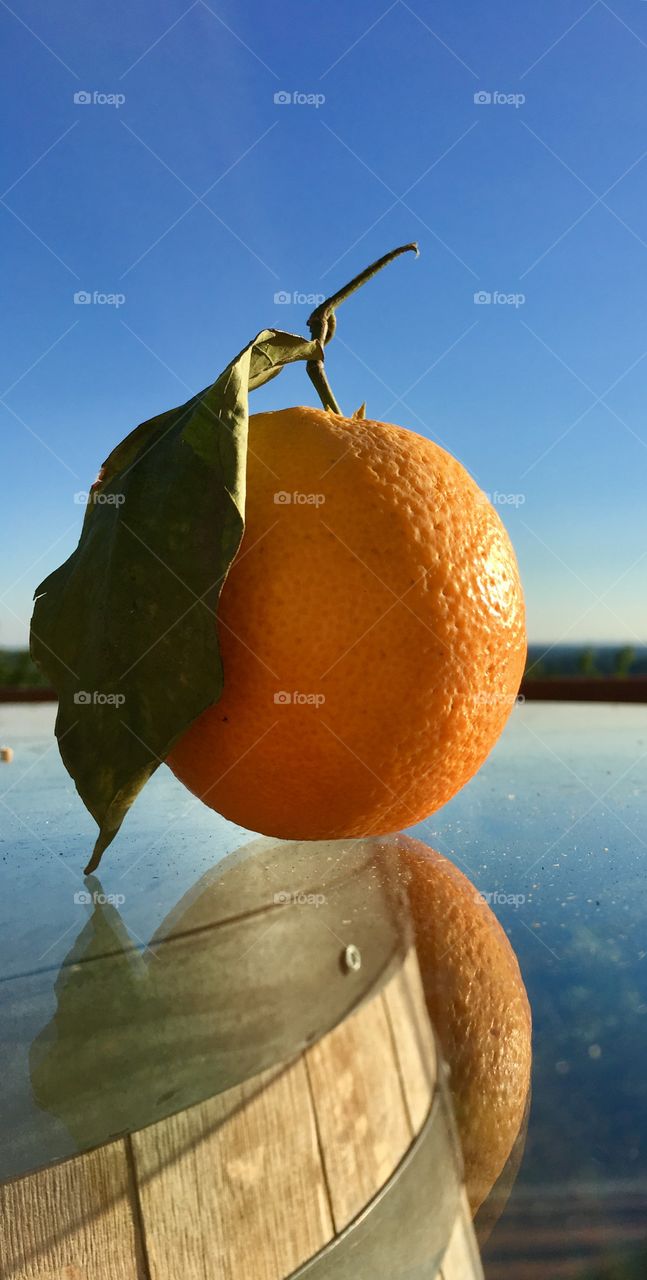 Orange fresh and organic 