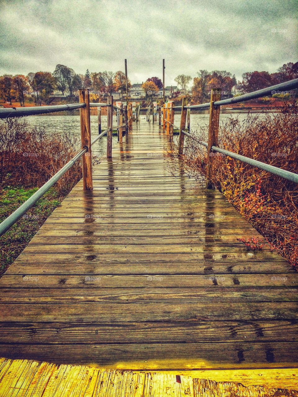 Favourite spot to enjoy the rain 