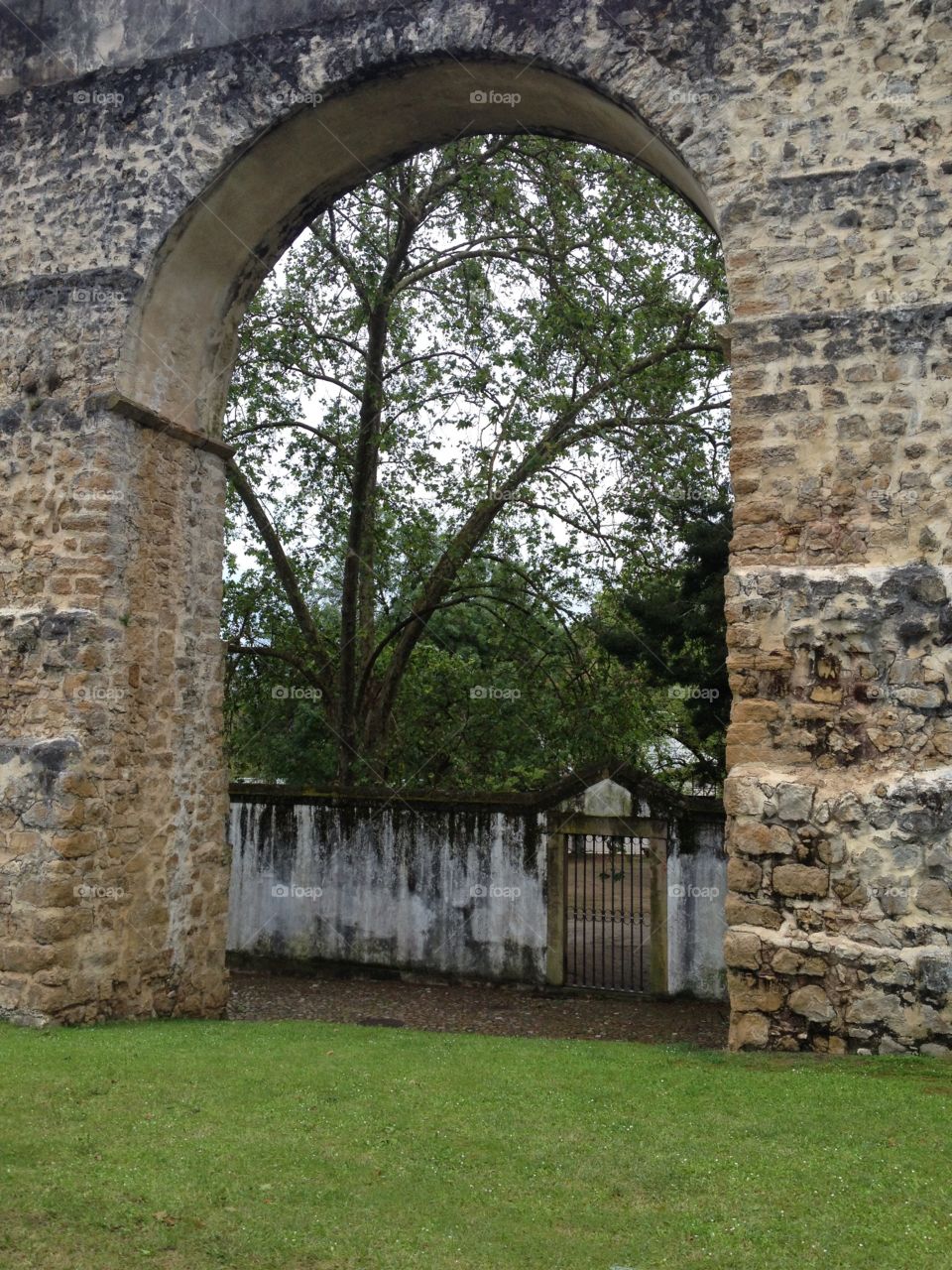 Botanical garden seen through an old arch