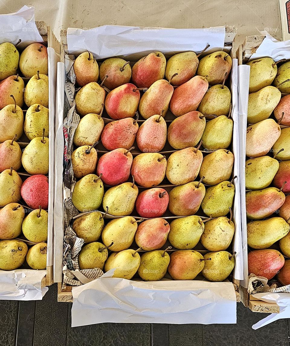 pears in Taschkent