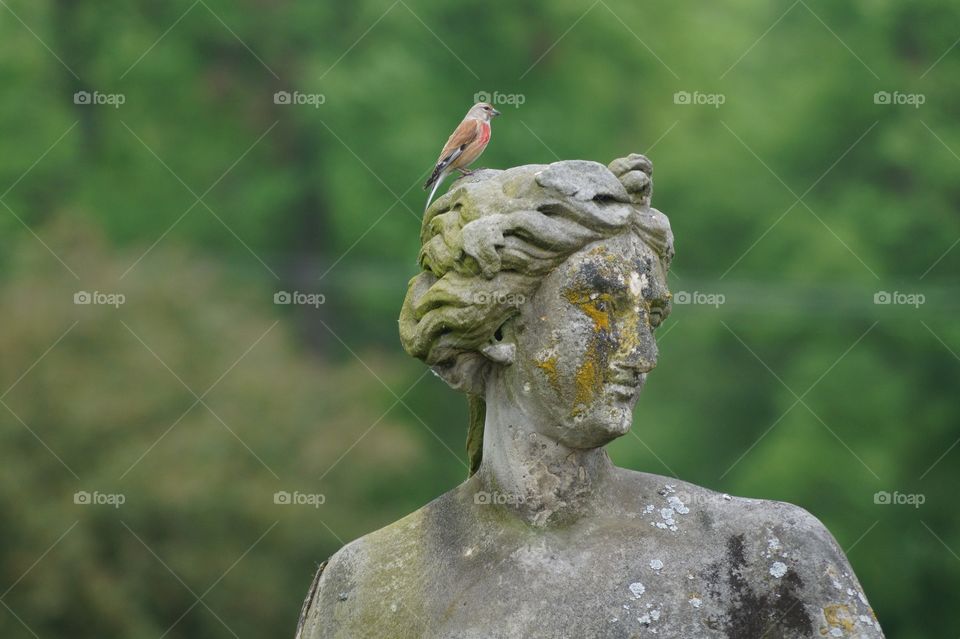 Break during the flight