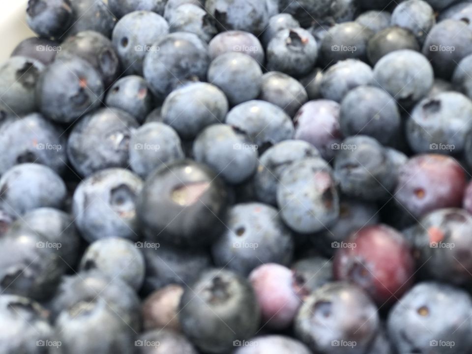Blue berry  close up