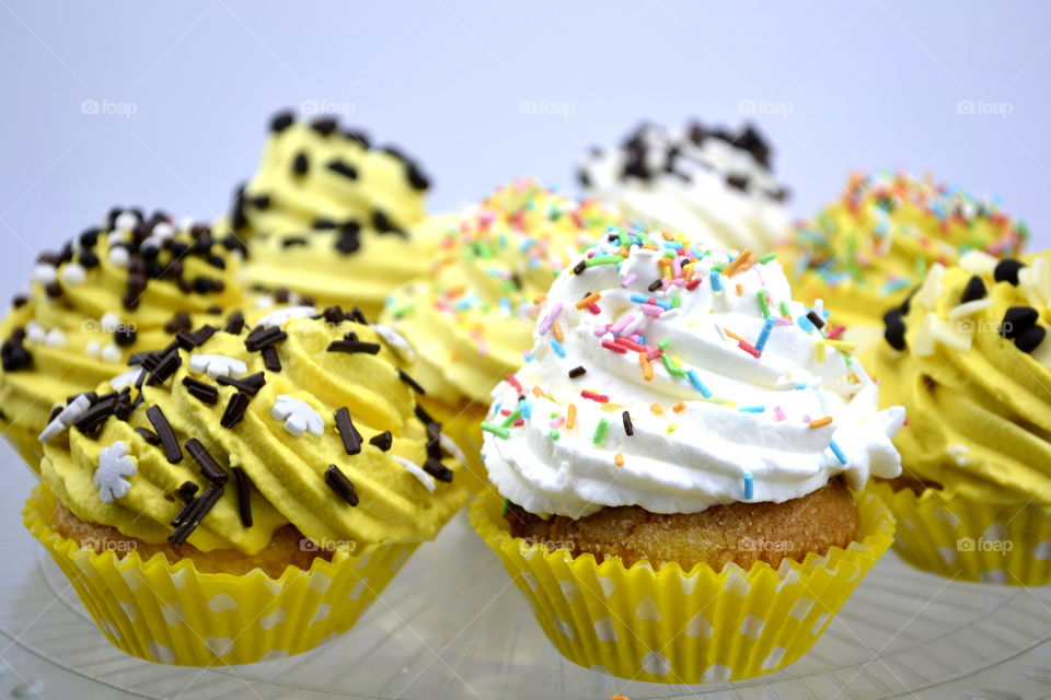 Crazy Cupcakes