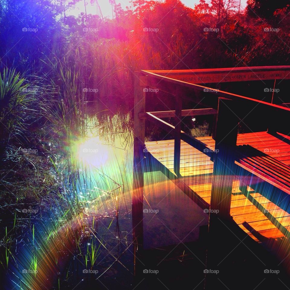 Lakeside dock on a sunny day