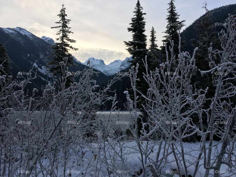 Winter in Pemberton, British Columbia 