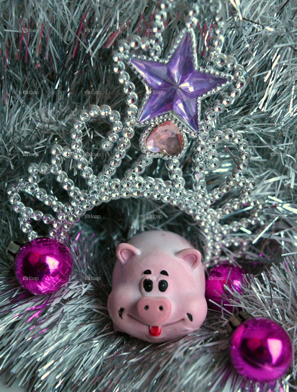 new year pig