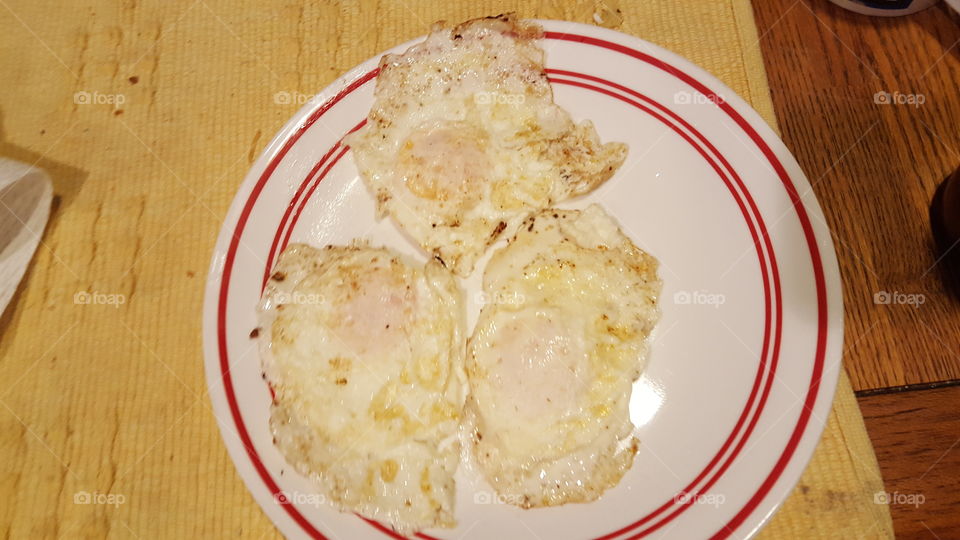 eggs