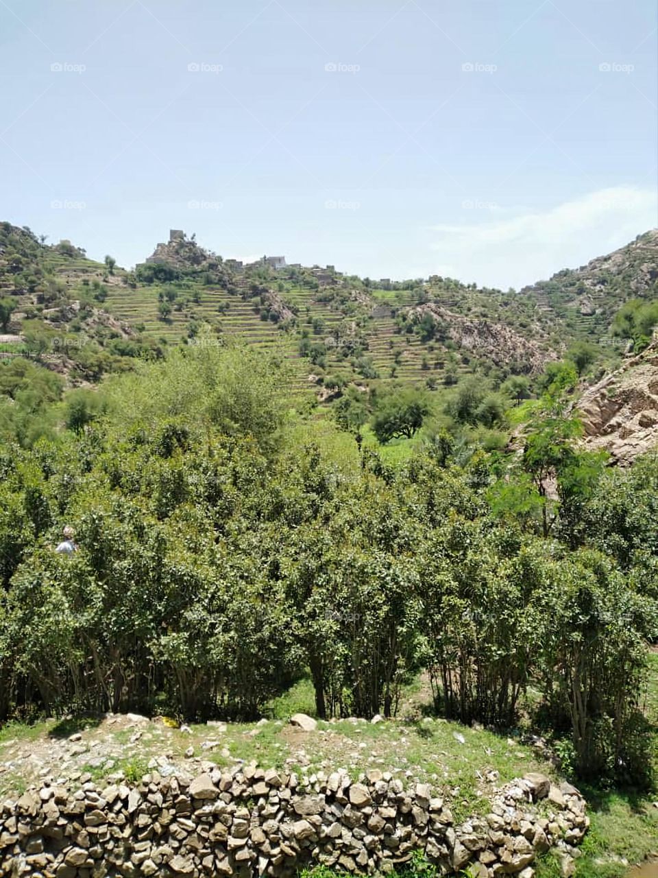 Glory be to God, the magnificent and picturesque view and the natural green trees are a view that is nothing more wonderful than it