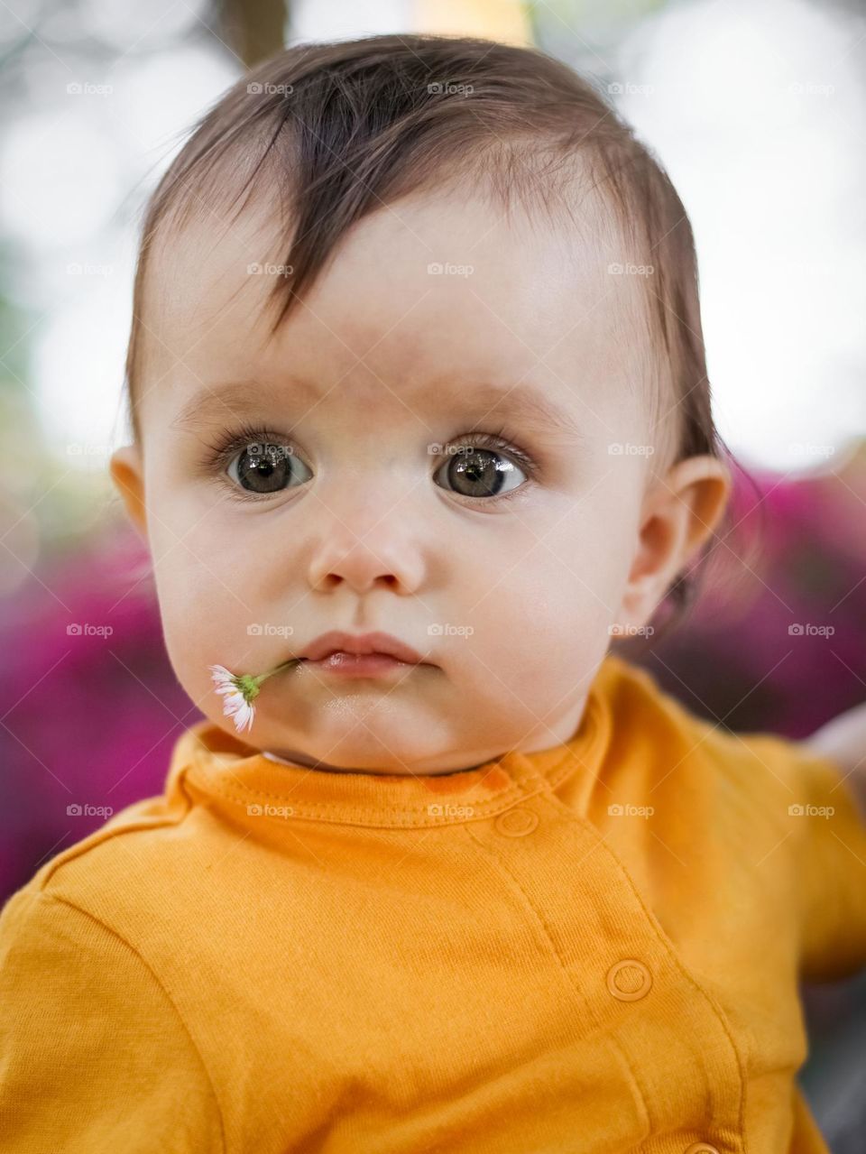 Portrait of a cute little caucasian girl in a yellow t-shirt with brown eyes and a camomile in her mouth, looking away against the background of blurry flowers in the park, close-up side view.