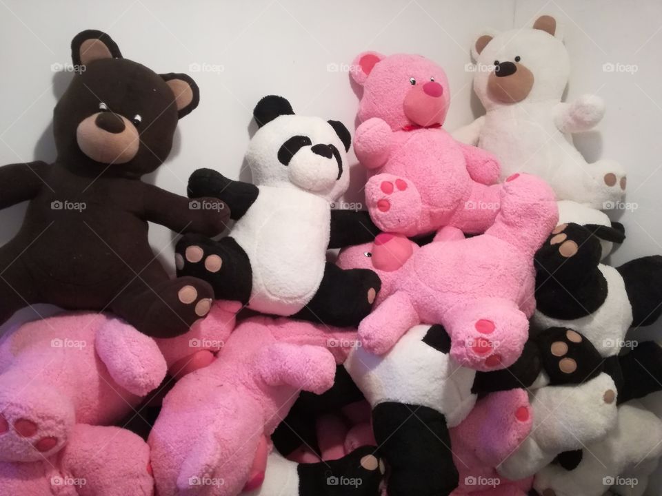 Proyecto 2019, producción de osos Segundo Lote