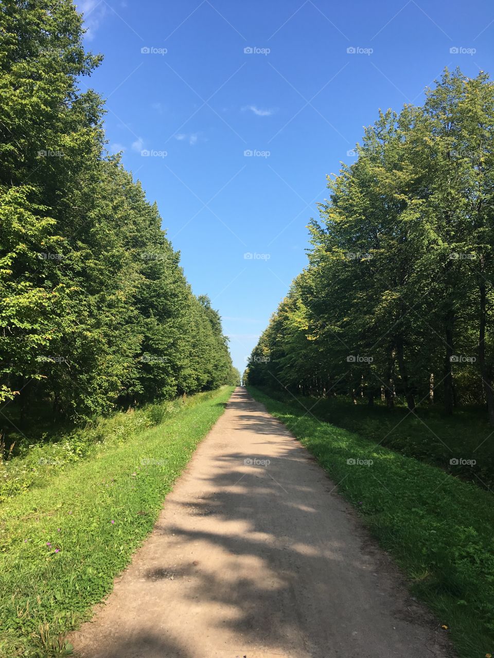 summer road to the unknown