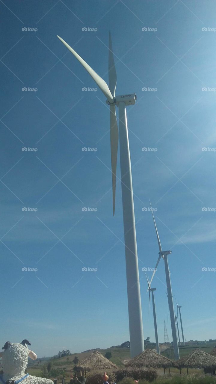The wind turbine the power of green energy.