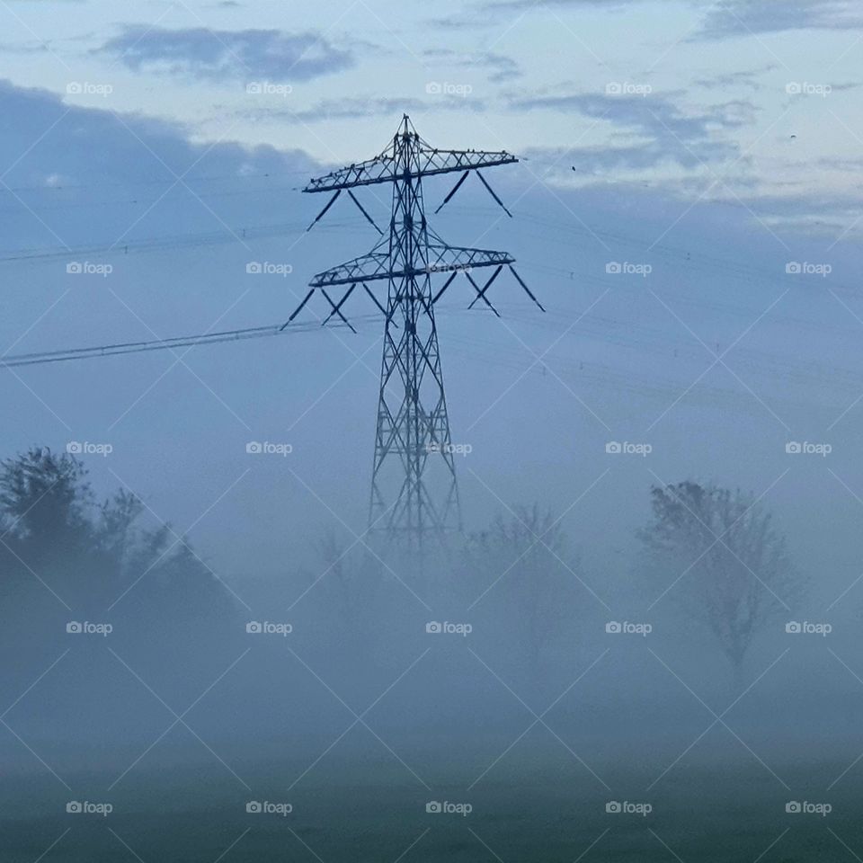 Mist in the Netherlands in the early morning.