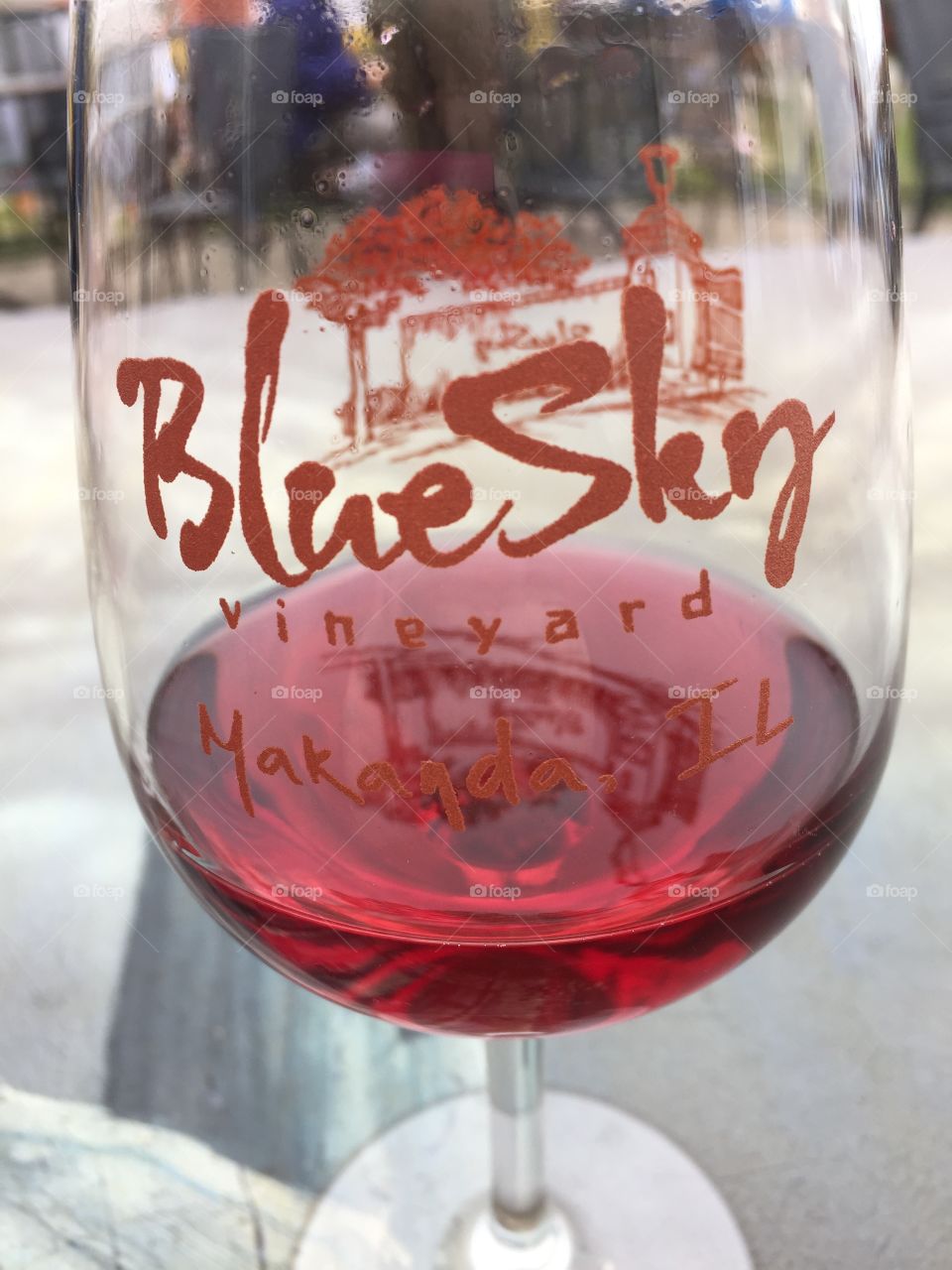Blue Sky vineyard