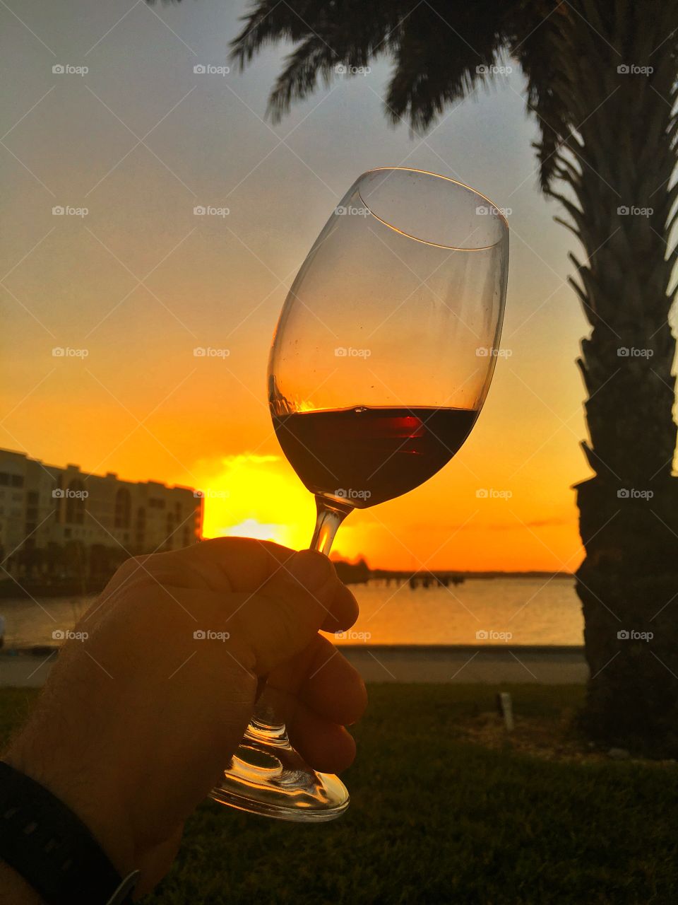 Wine sunset
