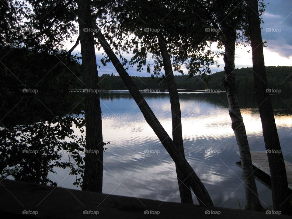 Looking through the trees at a glass-like lake on a summer evening