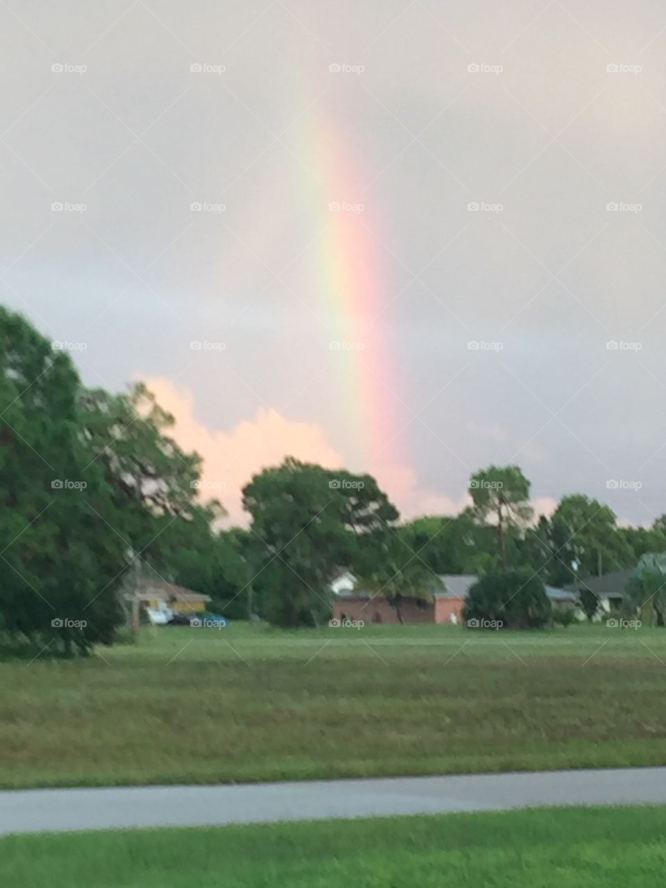 Florida Rainbow 