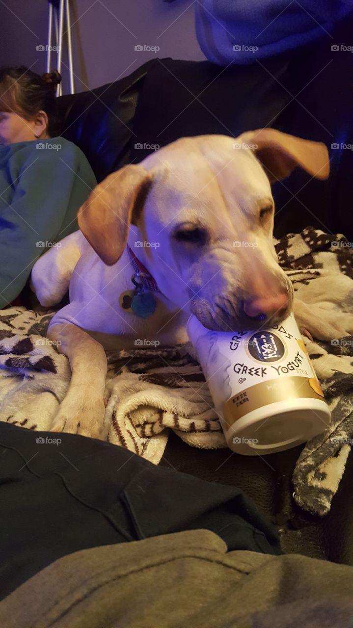 This is what happens when I don't get my way!